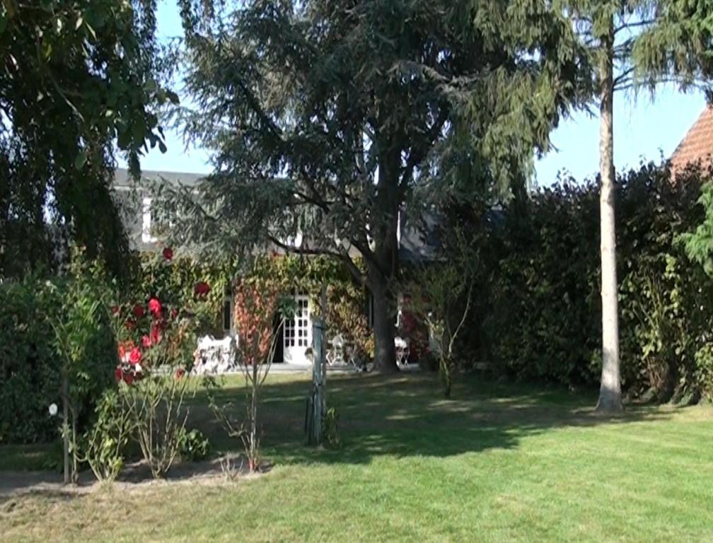 Le Petit Pont Hotell Moncé-en-Belin Exteriör bild
